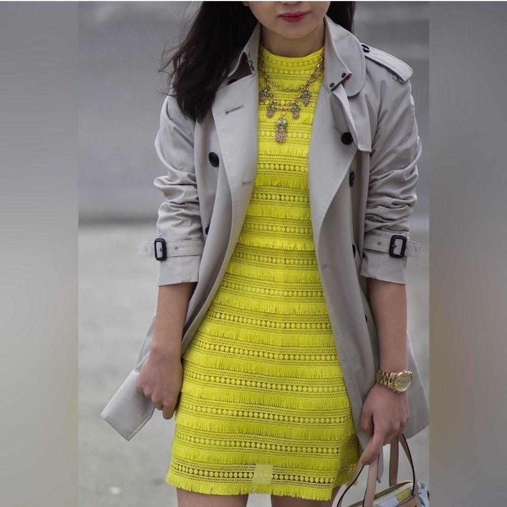 J.Crew fringe shift dress